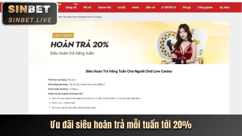 Trò chơi sòng bạc trực tiếp với người chia bài